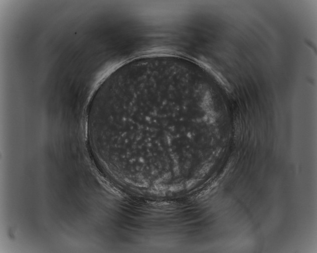 X0000097801413200803281025