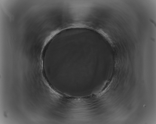 X0000097801414200803281025