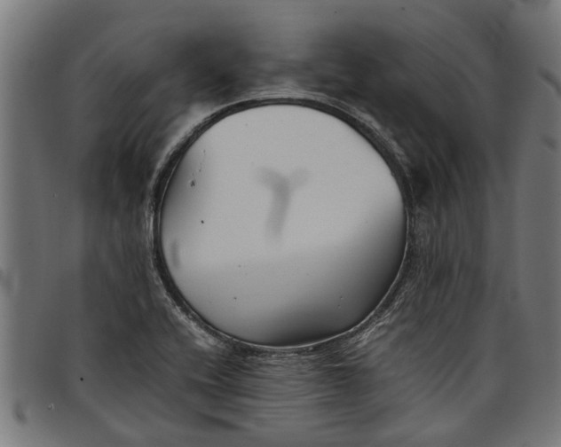 X0000097801416200803281025