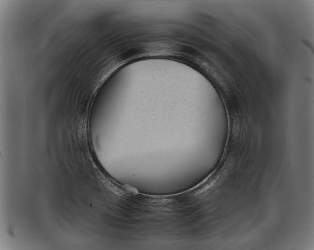 X0000097801417200803281025