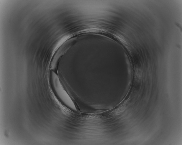 X0000097801418200803281025