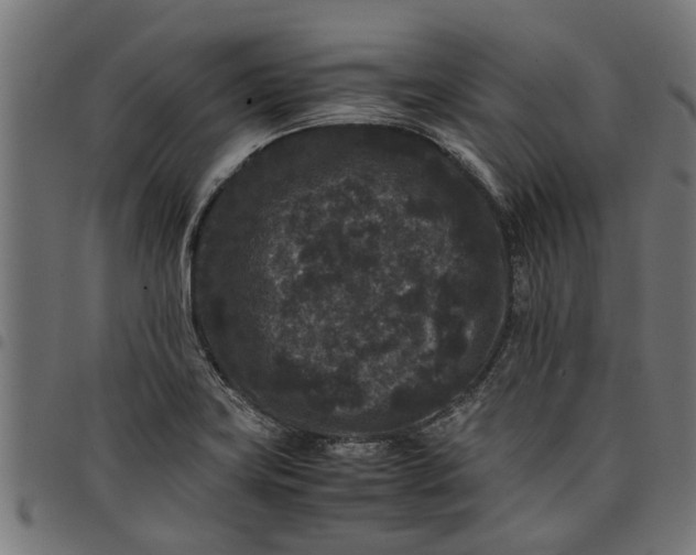 X0000097801419200803281025