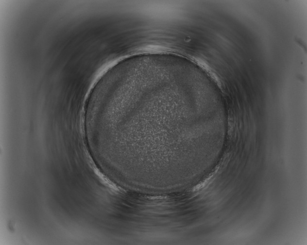 X0000097801421200803281025