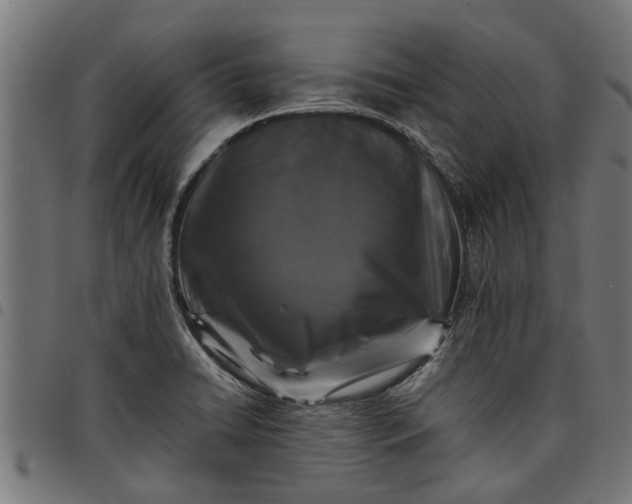 X0000097801422200803281025