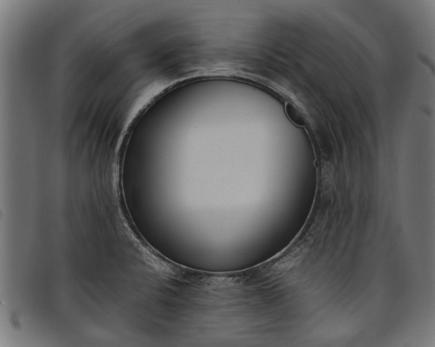 X0000097801424200803281025