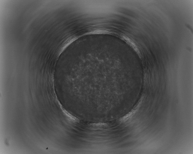 X0000097801425200803281025