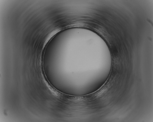 X0000097801426200803281025