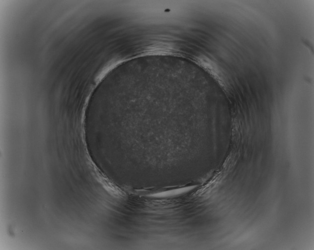 X0000097801427200803281025