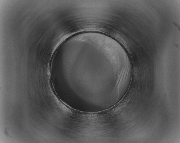 X0000097801428200803281025