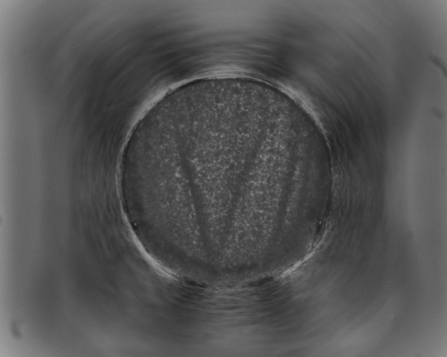 X0000097801429200803281025