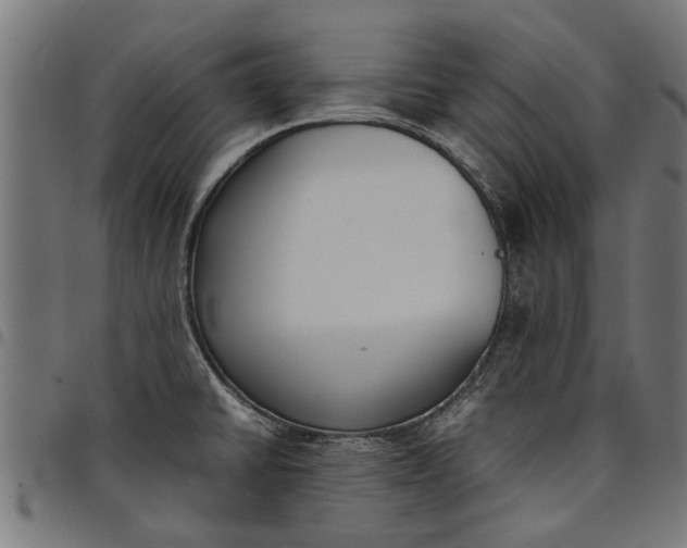 X0000097801430200803281025