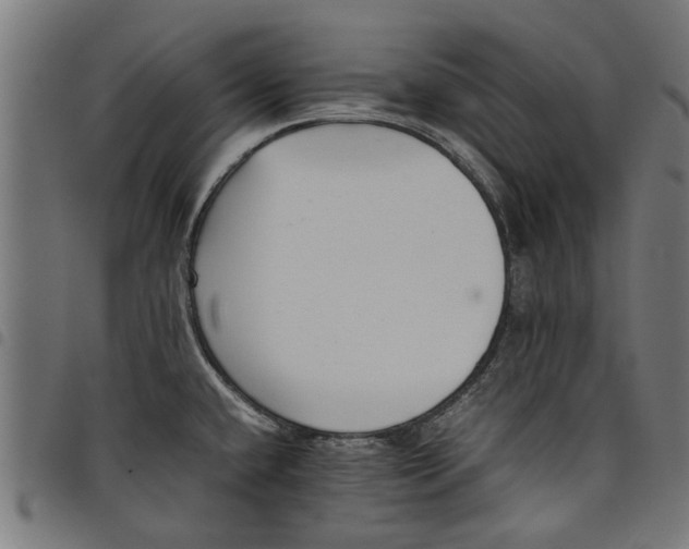 X0000097801432200803281025