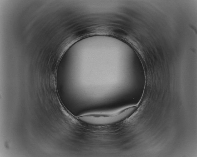 X0000097801433200803281025