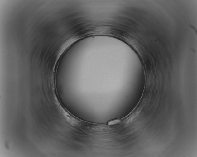 X0000097801434200803281025