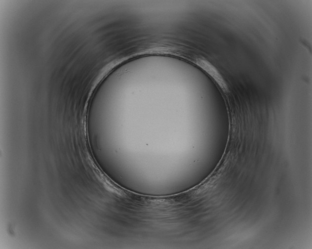 X0000097801436200803281025