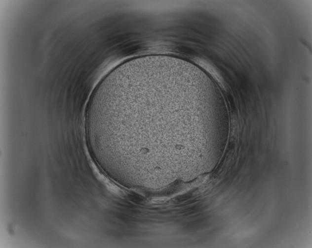 X0000097801439200803281025