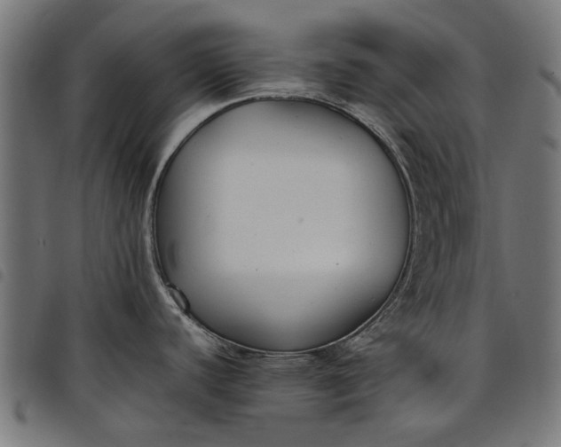 X0000097801440200803281025