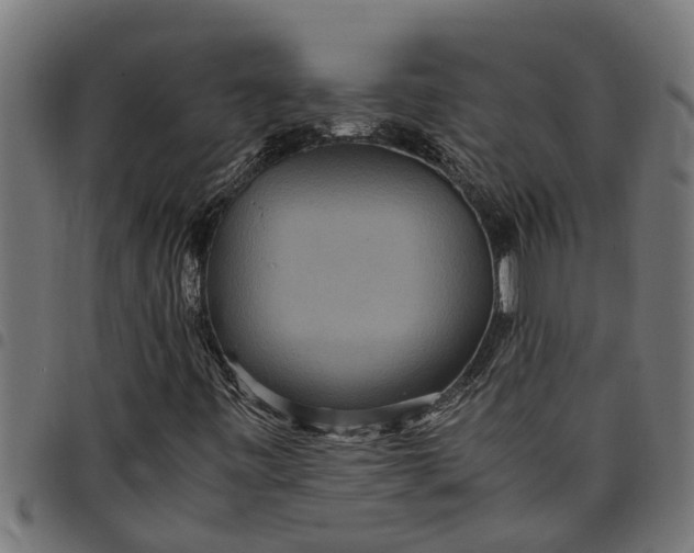 X0000097801443200803281024