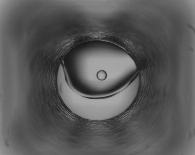 X0000097801444200803281024