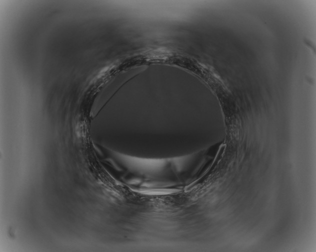 X0000097801445200803281024