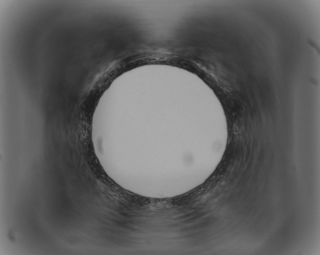 X0000097801447200803281024