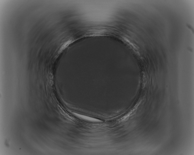 X0000097801449200803281024