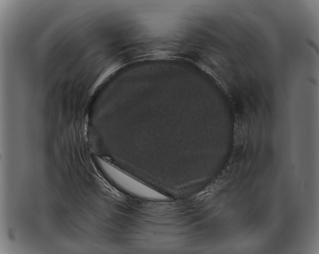 X0000097801450200803281024