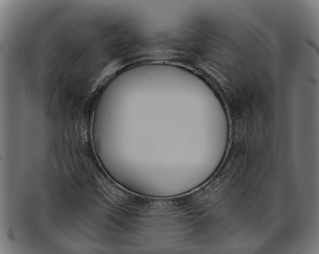 X0000097801451200803281024