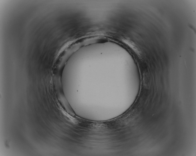 X0000097801452200803281024