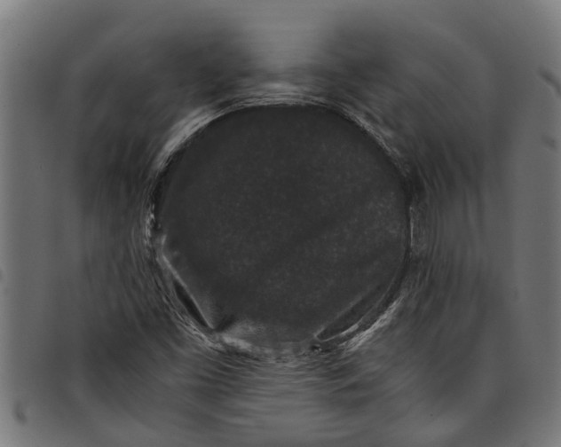 X0000097801453200803281024