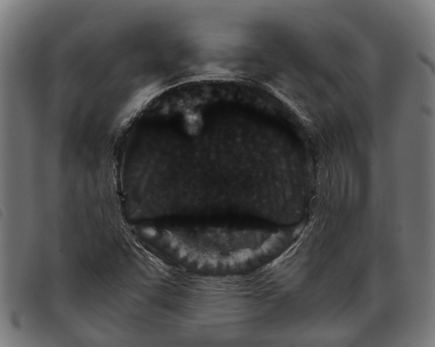 X0000097801455200803281024