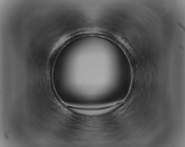 X0000097801456200803281024