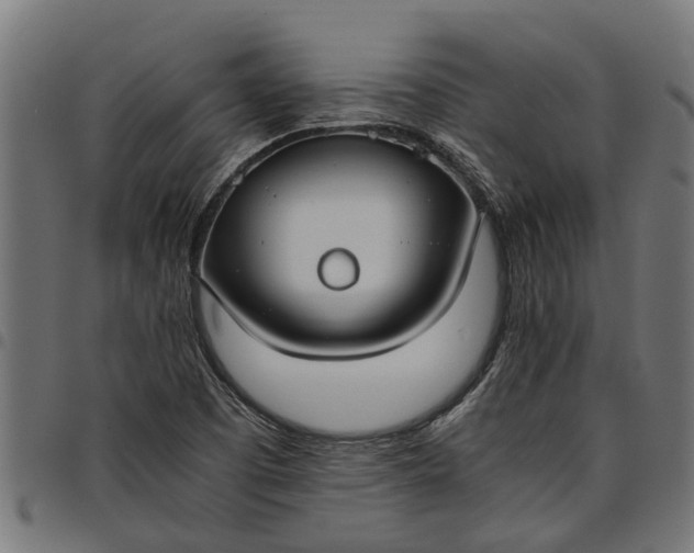 X0000097801457200803281024