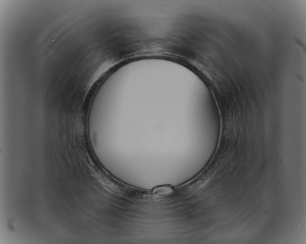 X0000097801458200803281024