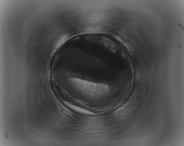 X0000097801459200803281024