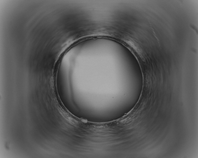 X0000097801460200803281024