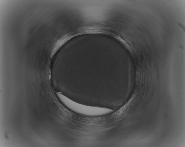 X0000097801461200803281024