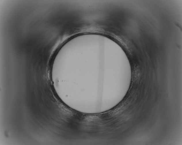 X0000097801462200803281024