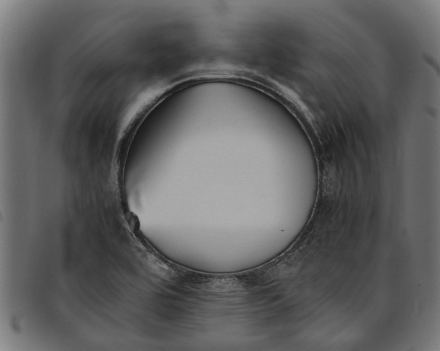 X0000097801464200803281024