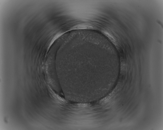 X0000097801465200803281024