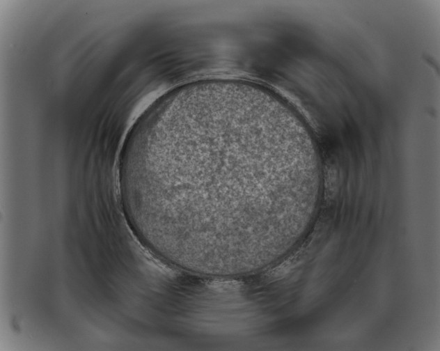 X0000097801466200803281024