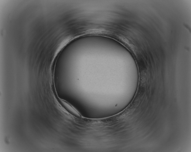 X0000097801467200803281024