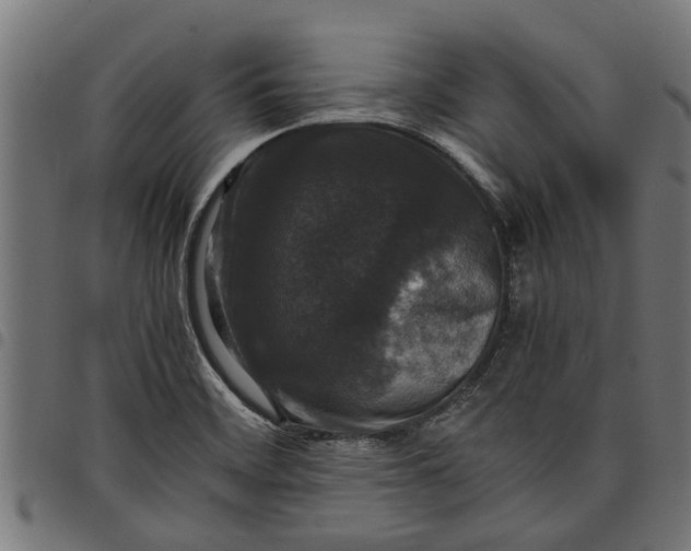 X0000097801468200803281024