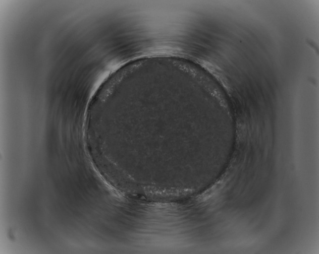 X0000097801469200803281024