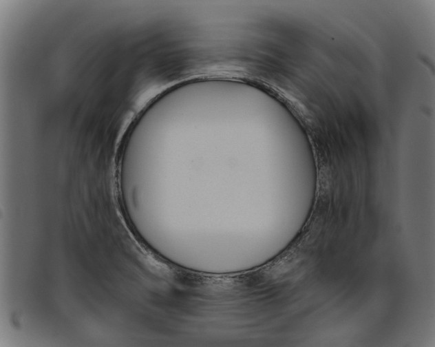 X0000097801470200803281024