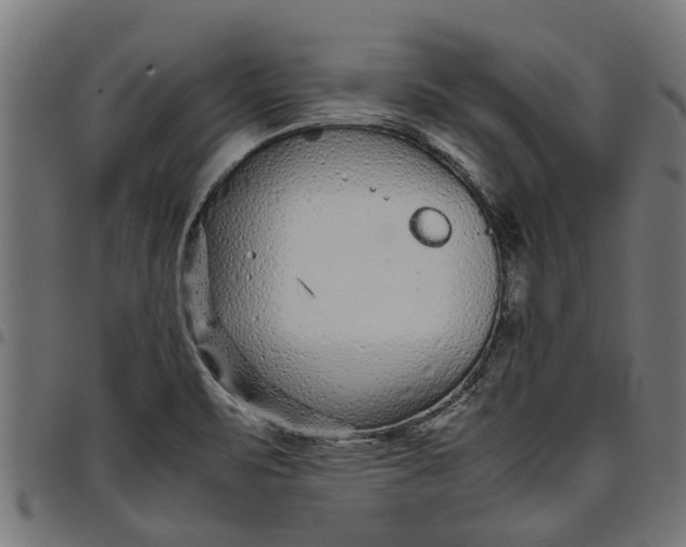 X0000097801471200803281024