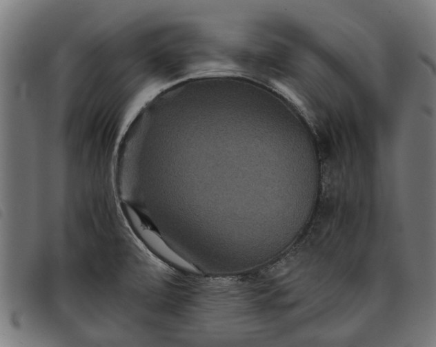 X0000097801472200803281024