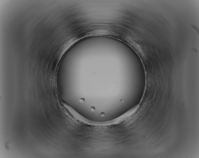 X0000097801473200803281024