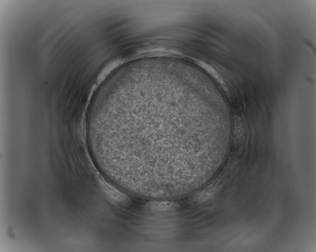 X0000097801474200803281024