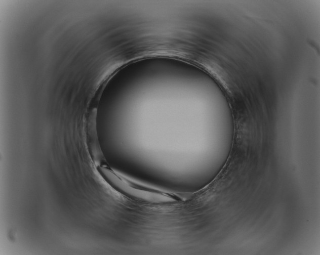 X0000097801476200803281024